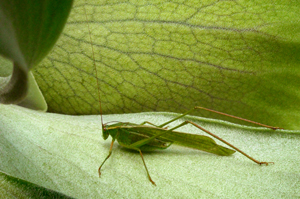 Image 10